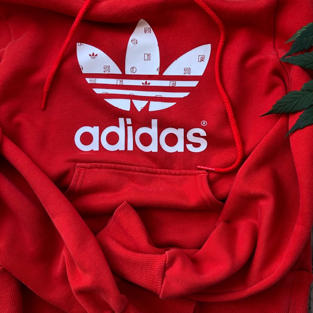 Adidas hoodie from Y2K era